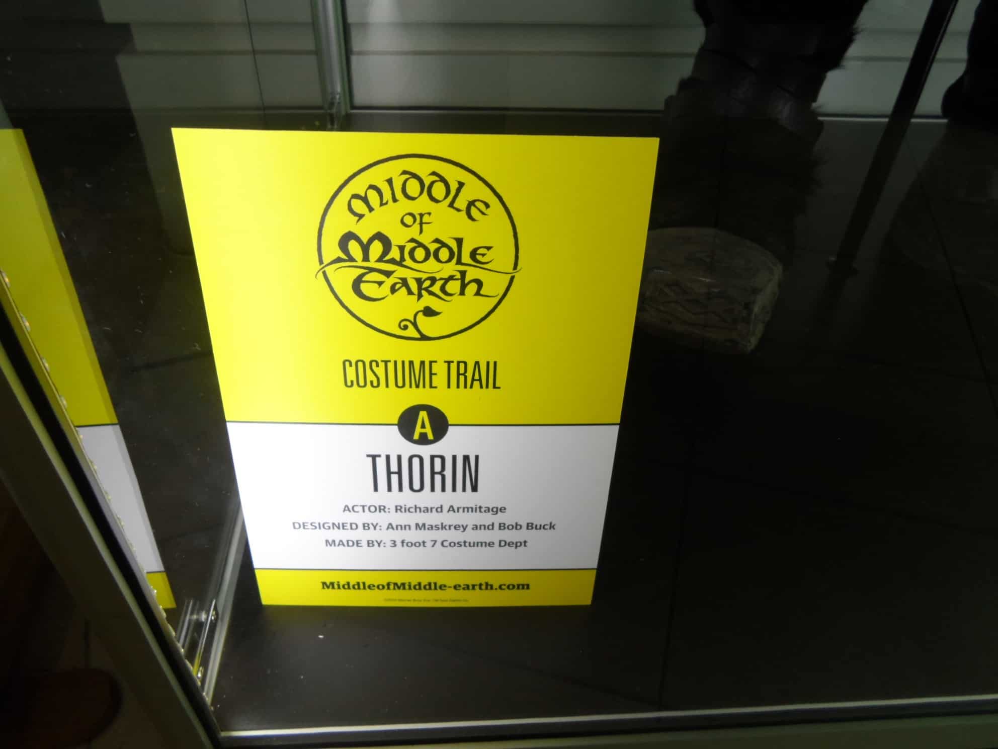 Thorin Costume